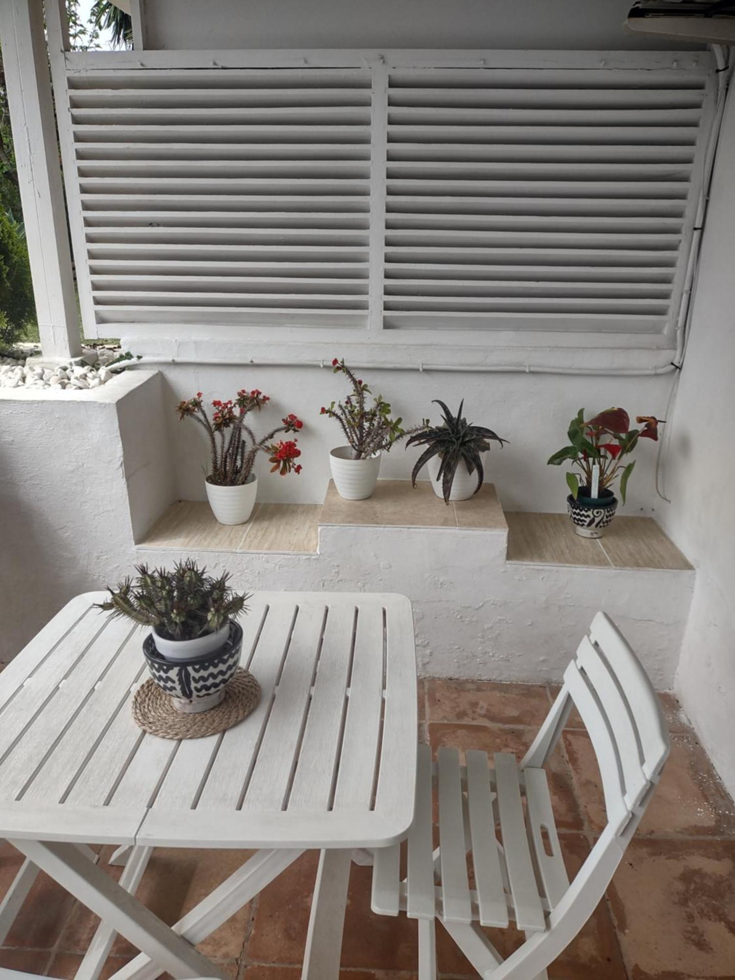 Puerto Banus Apartment Near Beachfront, Sunny Terrace, Pool, Tennis Court, Parking And Movies Projector Marbella Exteriör bild